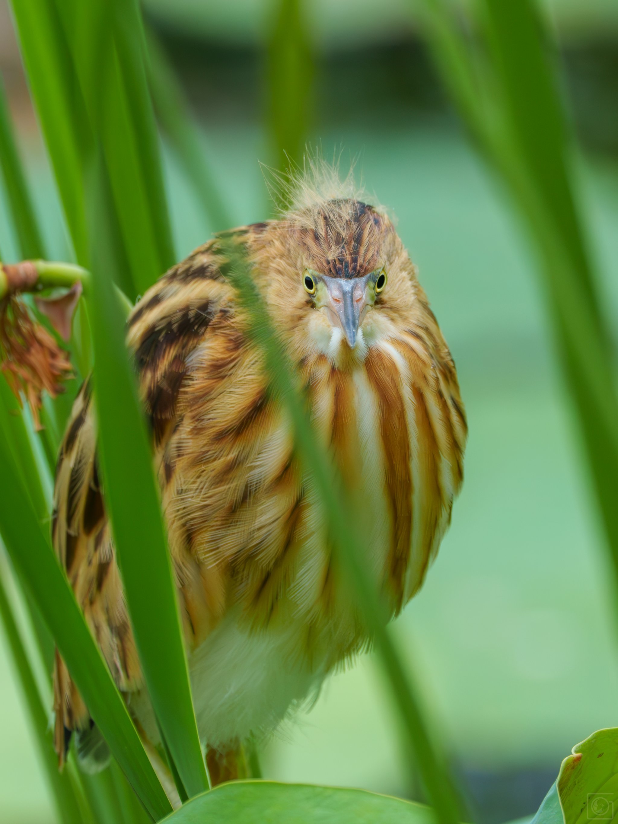 靠边吧土豪21章